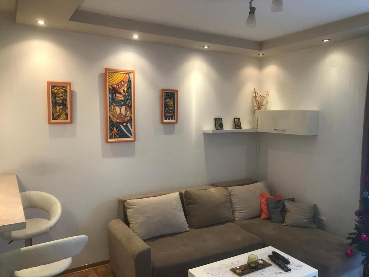 Appartamento Stojanovic R Apartman Novi Sad Esterno foto